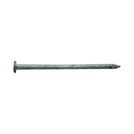 Pro-Fit Pro-Fit 2 in. Common Hot-Dipped Galvanized Steel Nail Flat Head 5 lb 0054135